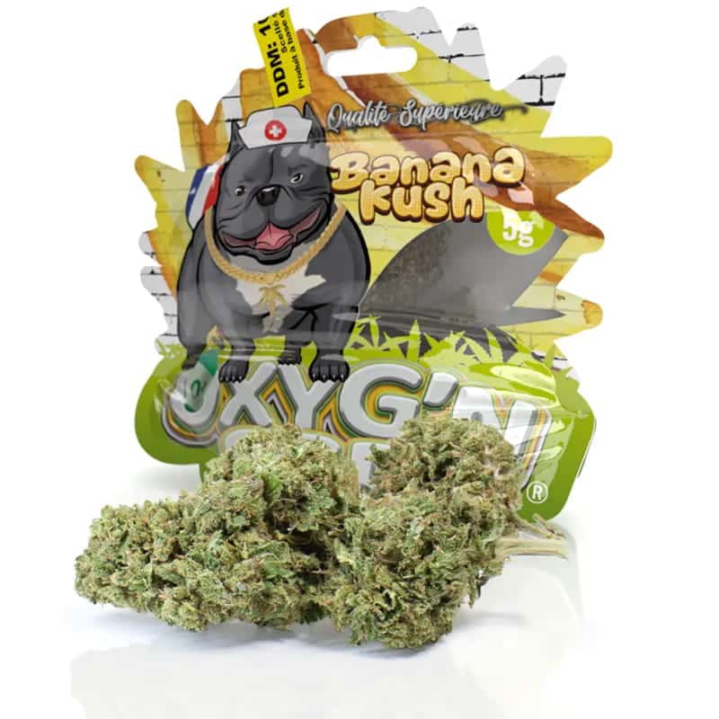 Sachet 5g CBD Oxyg'n - Banana Kush