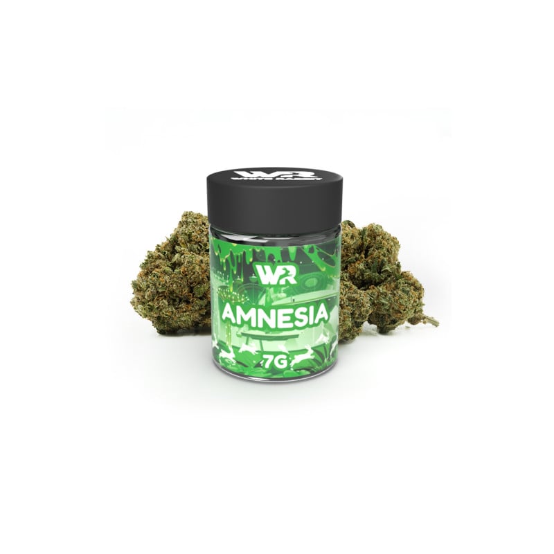 Pot CBD 7g Amnesia - White Rabbit